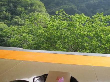 緑霞山宿　藤井荘 写真