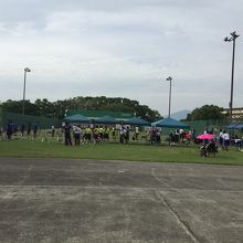 九州最大アーチェリー場