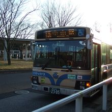ズーラシアからの市営バス