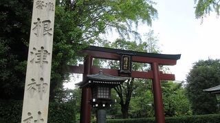 大きな鳥居や社殿など、日本らしい風景として確かにインスタ映えする場所でした。