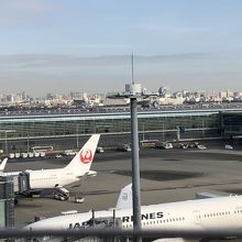 飛行機の離発着が見えます