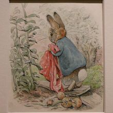 『ベンジャミンバニーのおはなし』の原画