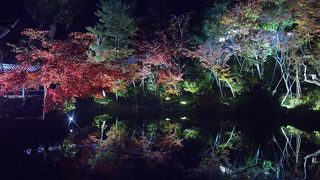 今まで見た紅葉の中で最も素晴らしものの一つでした！