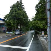 日光駅前でも少しだけ見ることができます。