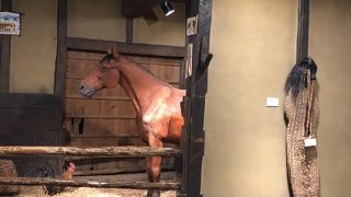 充実した展示。入館料も安い。