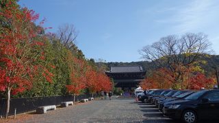 紅葉の時期の知恩院