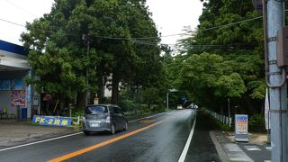 日光駅前でも少しだけ見ることができます。