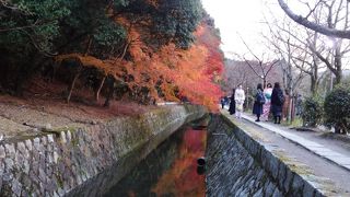 紅葉時期の哲学の道