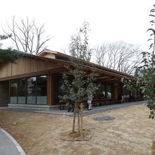 周辺の木々も今後大きくなるでしょう