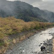 河津桜まつり