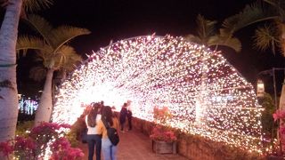 「ひかりの散歩道」がお勧め