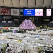 第３０回 世界らん展２０２０ ｉｎ 東京ドーム