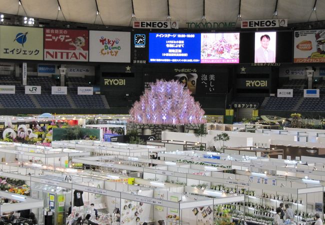 第３０回 世界らん展２０２０ ｉｎ 東京ドーム