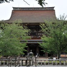 桜に囲まれた蔵王堂