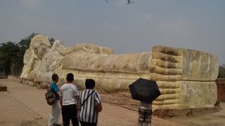 なんか癒やされます