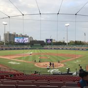 初めての台湾野球観戦