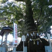 熊野古道ともゆかりのある神社