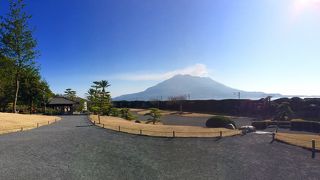 桜島ビュー