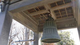 一風変わった形状