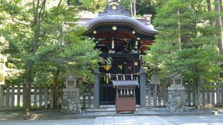 金色に輝く源氏の家紋