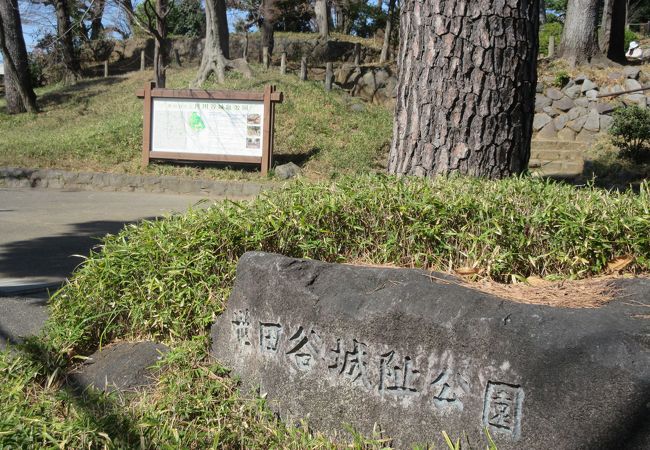 世田谷城阯公園 クチコミ アクセス 営業時間 三軒茶屋 駒沢 フォートラベル