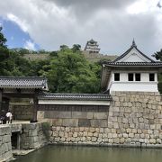 日本100名城の丸亀城（香川県）、現存天守は小振りながら石垣は60mを超える日本一の高さを誇る
