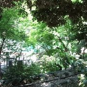 ほっとする感じの公園です。