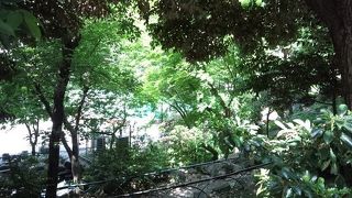 ほっとする感じの公園です。