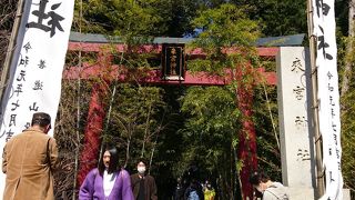 来宮神社♪