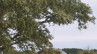 アイスクリームが売れていました「トラピスト修道院　売店」北斗市三ツ石