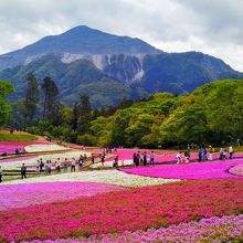 武甲山をバックに