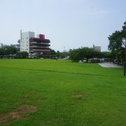 空いたスペースが芝生になっているだけという印象です