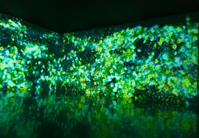 チームラボギャラリー真玉海岸 クチコミ・アクセス・営業時間｜宇佐 