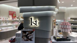 新千歳空港制限エリア限定