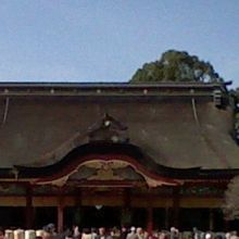 建物の両側に植えられた立派  な梅の木も見事です