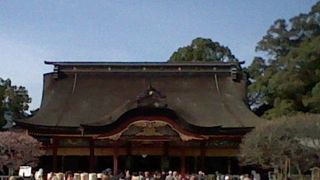 安土桃山時代の様式と立派な梅の木が風情たっぷりです