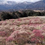 圧巻の景色が広がる