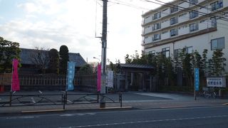 見ごたえあります