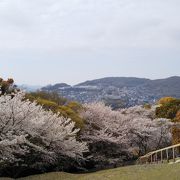 坂本龍馬も