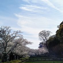 桜の名所