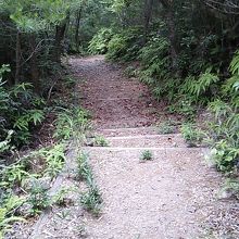 遊歩道の様子(蟠竜湖寄り)