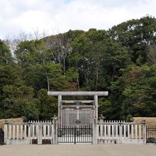 神聖な雰囲気が漂う