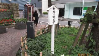 柳にも世代交代があった