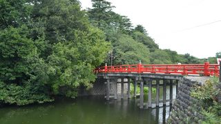 日本100名城の高岡城、正確に言うと城跡、古城公園となっていて、石垣と堀が残るのみ