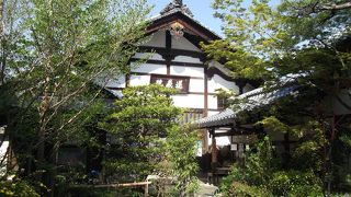 みごとなしだれ桜