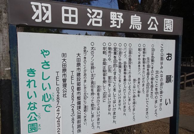 羽田沼野鳥公園 クチコミ アクセス 営業時間 大田原 黒羽 那珂川 フォートラベル 羽田沼野鳥公園 クチコミ アクセス 営業時間 大田原 黒羽 那珂川 フォートラベル