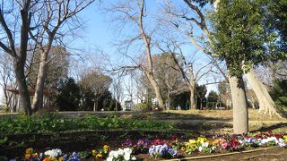 自然と歴史が感じられる公園