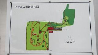 小杉丸山遺跡