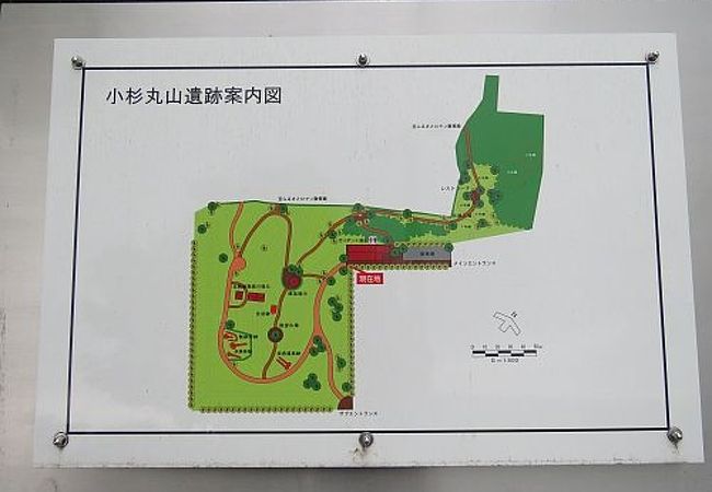 小杉丸山遺跡