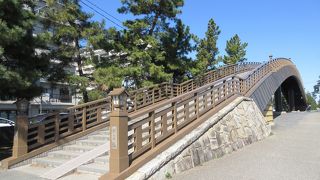 富士山が見えました